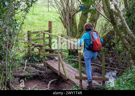 Donna passeggiate in campagna su una passerella in legno che attraversa un ruscello in terreni agricoli England Regno Unito Foto Stock