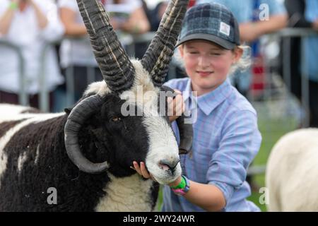 Bambini che mostrano pecore nella sezione Young Handlers al Westmorland Show, Kendal, Cumbria, 2022. Foto Stock