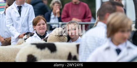 Bambini che mostrano pecore nella sezione Young Handlers al Westmorland Show, Kendal, Cumbria, 2022. Foto Stock