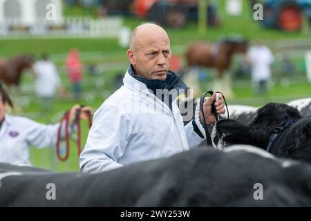 Mostra bovini di manzo al Westmorland County Show vicino a Kendal, Cumbria, settembre 2022 Foto Stock