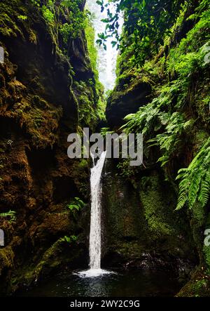 Cascata lungo Levada do Caldeirão Verde escursione (PR9) sull'isola di Madeira, Portogallo, Europa Foto Stock