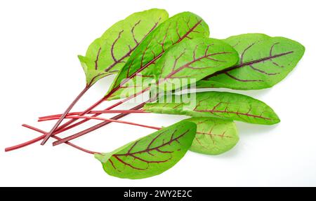 Foglie di barbabietola verde fresche isolate su sfondo bianco. Foto Stock