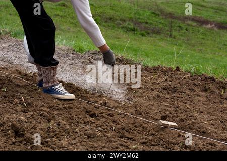 Primo piano di una mano di contadini che sparge cenere in un solco in un campo durante la primavera in campagna, usando la cenere per scoraggiare i parassiti e arricchire il suolo Foto Stock