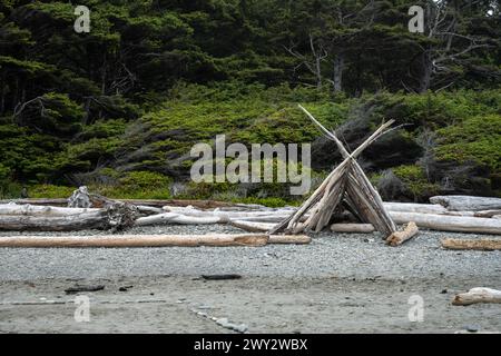 Crude Shelter costruito in Drift Wood on Beach nell'Olympic National Park Foto Stock