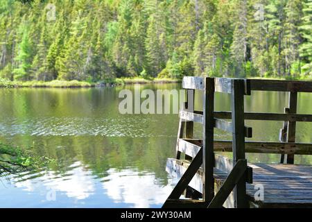 Piattaforma dell'osservatorio sul lato del lago. Lago calmo con platfrom in legno. Foto Stock