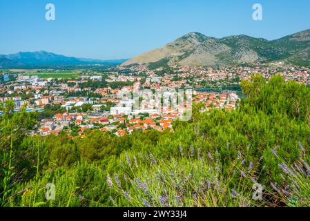 Vista panoramica della città bosniaca di Trebinje Foto Stock