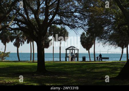 Ammira il Bay Vista Park verso il molo al centro e la panchina sulla destra con persone che attraversano erba verde e alberi e Tampa Bay a St Petersburg, Florida Foto Stock