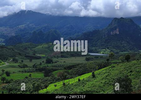 Vista panoramica sulla foresta, Tham Sakaen, zona di confine della provincia di Nan. Con la provincia di Phayao, Thailandia Foto Stock