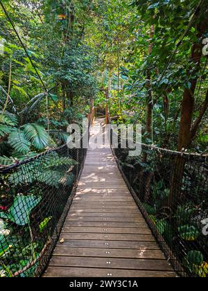 Jardin Botaniqu de Deshaies, giardino botanico con flora e fauna in Guadalupa, Caraibi, Antille francesi Foto Stock