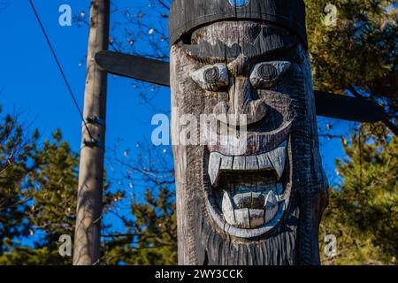 Primo piano della faccia scolpita del totem di legno usato molto tempo fa per proteggere le comunità dal male situato nel parco pubblico vicino a Daejeon, Corea del Sud Foto Stock