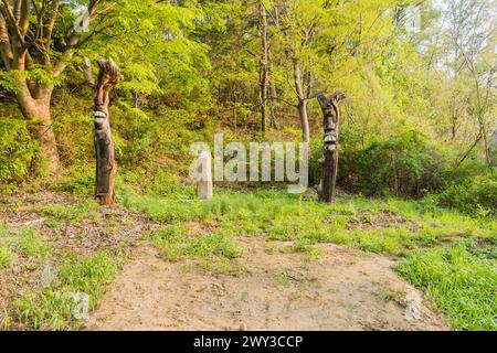 Due pali totem coreani in legno con denti intagliati dipinti di bianco in una radura nella zona boschiva della Corea del Sud Foto Stock