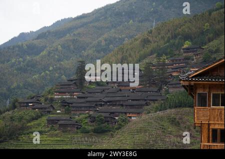 Terrazza di riso Long shen, guangxi, cina Foto Stock