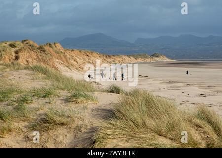 Spiaggia, gente, nuvole, montagne, LLanddwyn Bay, Newborough, Isola di Anglesey, Galles, Gran Bretagna Foto Stock