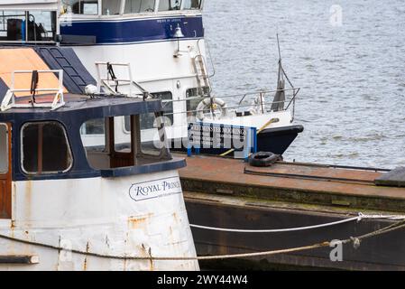 La nave da crociera Old Thames Cruises di nome MV Royal Princess ormeggiata a Westminster Moorings a Londra, Regno Unito. Una barca da diporto d'epoca Foto Stock