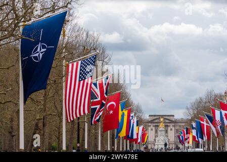 Celebrazione delle bandiere del 75° anniversario della NATO nel Mall, Londra, Regno Unito. Bandiere degli stati membri che volano. Emblema NATO, USA, Regno Unito, Turchia, Svezia, Spagna Foto Stock