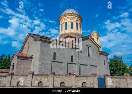 Cattedrale della Vergine di Gori in Georgia Foto Stock