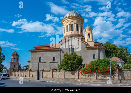 Cattedrale della Vergine di Gori in Georgia Foto Stock