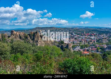Fortezza di Narikala vista dal giardino botanico di Tbilisi, Georgia Foto Stock