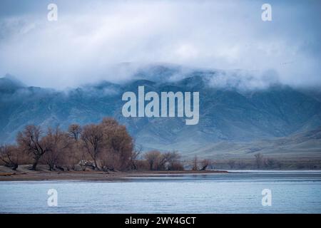 Una mattina presto e nebbiosa sul fiume Ili. Nuvole basse coprono le colline rocciose. Paesaggio mistico in luce blu. All'inizio della primavera nel tratto Tamgaly-Tas. Kazak Foto Stock