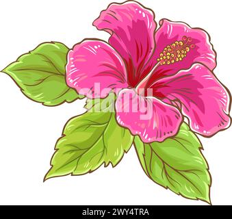 Illustrazione dettagliata colorata della diramazione dell'ibisco Illustrazione Vettoriale