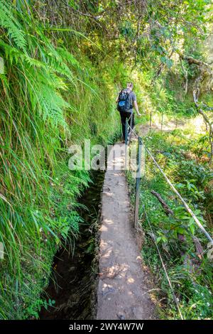 Escursionista che cammina su uno stretto sentiero lungo la levada Caldeirao Verde (canale di irrigazione) nell'isola di Madeira, Portogallo Foto Stock