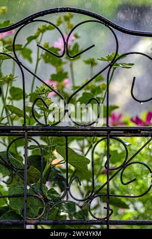 Un cancello di metallo nero con fiori all'interno Foto Stock