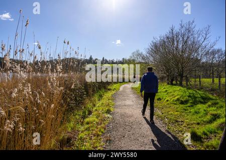 Giovani adulti che camminano su un sentiero di ghiaia vicino al lago artificiale Ardingly con alte canne lungo la riva all'inizio della primavera. West Sussex, Inghilterra. Foto Stock