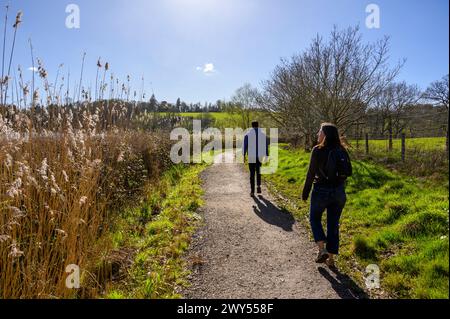 Giovani adulti che camminano su un sentiero di ghiaia vicino al lago artificiale Ardingly con alte canne lungo la riva all'inizio della primavera. West Sussex, Inghilterra. Foto Stock