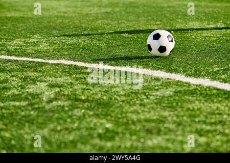 Un unico pallone da calcio si trova in cima al vivace campo verde, crogiolandosi alla luce calda del sole, in attesa della prossima partita entusiasmante. Foto Stock