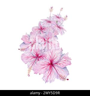 Bouquet di fiori di ibisco rosa acquerello. Illustrazione in fiore dipinta a mano. Composizione floreale realistica ed elegante. Per tè all'ibisco, sciroppo, fiorista Foto Stock