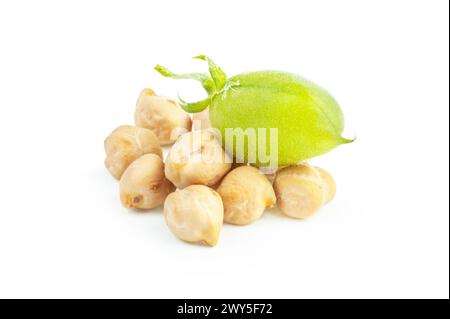 Ceci secchi crudi con cialda di ceci verdi crudi isolata su sfondo bianco. Mucchio di ceci leguminosi Foto Stock