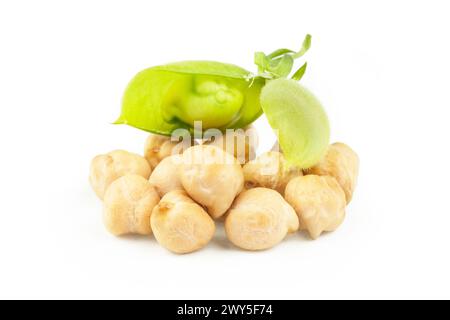 Ceci secchi crudi con cialda di ceci verdi crudi isolata su sfondo bianco. Mucchio di ceci leguminosi Foto Stock