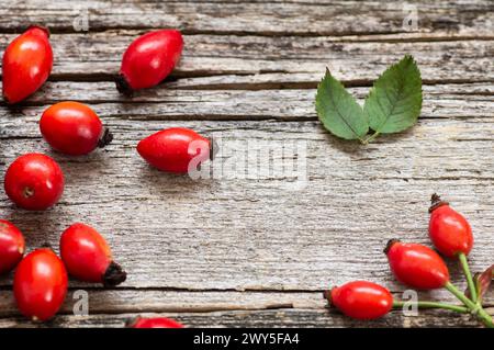 Rosa canina fresca e matura su fondo in legno, concetto di cibo sano ( rosa canina ) Foto Stock