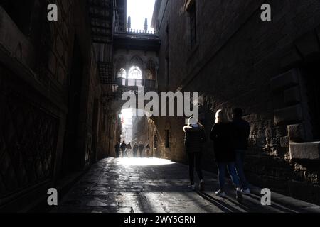 Ponte del Vescovo (Pont del Bisbe), quartiere Ghotic - Barcellona - Spagna Foto Stock