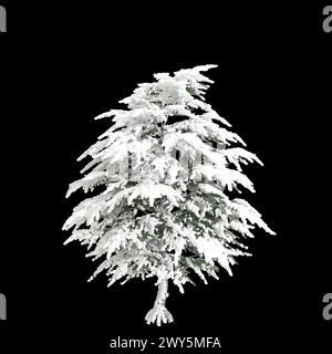 Illustrazione 3d di Cedrus libani albero coperto di neve isolato su sfondo nero Foto Stock