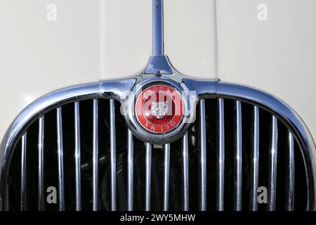 Logo Jaguar XK150 3,4 DHC (1959) sul cofano, Easter Gathering (vetture precedenti al 1994), 30 marzo 2024, Brooklands Museum, Weybridge, Surrey, Inghilterra, Regno Unito, Europa Foto Stock