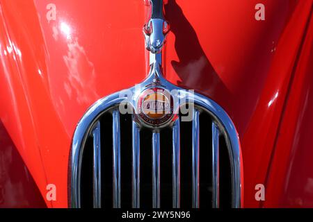 Jaguar XK140 3,4 (1955) stemma sul cofano, Easter Gathering (vetture precedenti al 1994), 30 marzo 2024, Brooklands Museum, Weybridge, Surrey, Inghilterra, Regno Unito, Europa Foto Stock