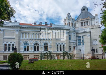 Il palazzo della cultura di Arad, Romania Foto Stock