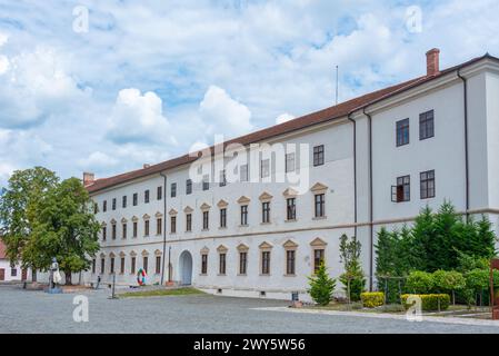 Cortile della fortezza di Oradea in Romania Foto Stock