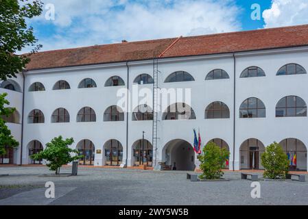 Cortile della fortezza di Oradea in Romania Foto Stock