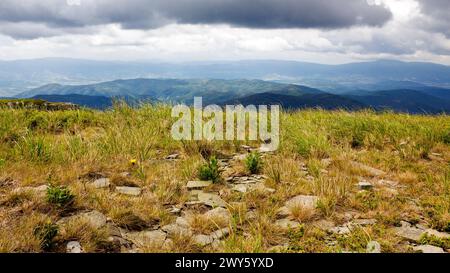 prati alpini dei carpazi polonyna liscia chiamata anche runa o rivna. erba e pietre sulla collina sotto il cielo nuvoloso in estate. visualizza in Foto Stock