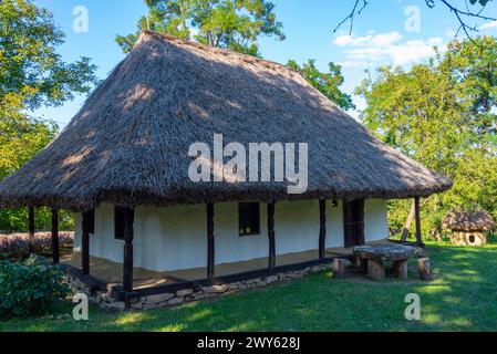 Parco etnografico Romulus Vuia a Cluj-Napoca, Romania Foto Stock