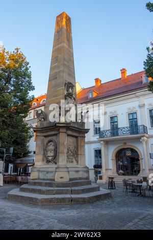 Vista al tramonto della colonna Carolina nella città vecchia di Cluj-Napoca, Romania Foto Stock