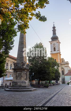Vista al tramonto della colonna Carolina nella città vecchia di Cluj-Napoca, Romania Foto Stock