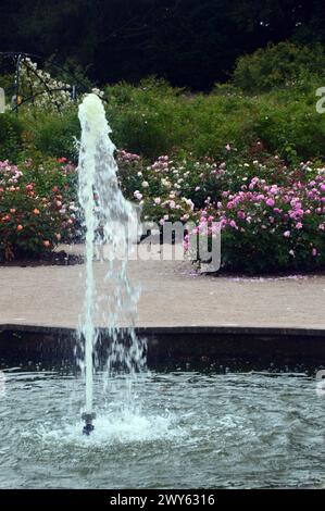 Laghetto e fontana nel Rose Garden di Lowther Castle, Lake District National Park, Cumbria, Inghilterra, Regno Unito. Foto Stock