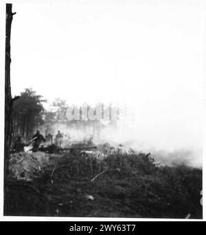 LA NUOVA OFFENSIVA SUL FRONTE occidentale [continua] - i cannoni Bofors del 390 Battery 199 L.A. Regiment, R.A., posero una "scatola di pepe" per la fanteria in avanzata. Notare la pila di casse vuote che indicano l'intensità dello sbarramento. , British Army, 21st Army Group Foto Stock