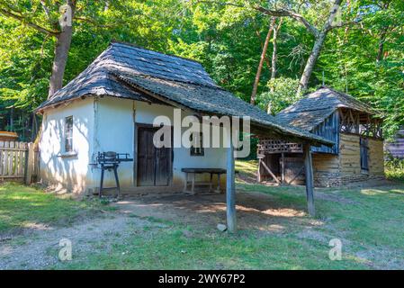 Case storiche del museo etnografico Astra a Sibiu, Romania Foto Stock