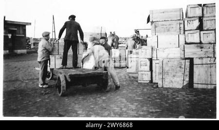 PORTO DI ANVERSA IN PIENO SVOLGIMENTO - come impilarli --- i belgi hanno la loro strada, ed è la merce. , British Army, 21st Army Group Foto Stock