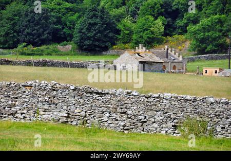 Tradizionale fienile dello Yorkshire convertito in un'interessante dimora. Le pareti di pietra racchiudono il campo con un fienile all'angolo per riparare il Livestoc Foto Stock
