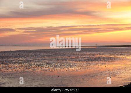 Alba e riflessione sulla foce dell'Elba vicino a Otterndorf nella bassa Sassonia. In primo piano il Mare di Wadden nel Parco Nazionale del Mare di Wadden. Foto Stock